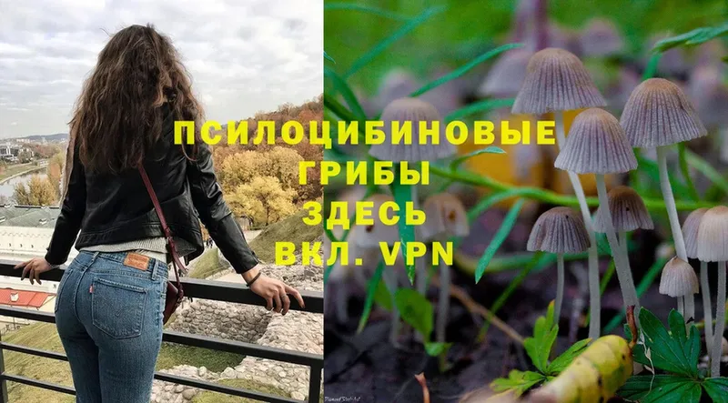 Галлюциногенные грибы Magic Shrooms  Великие Луки 